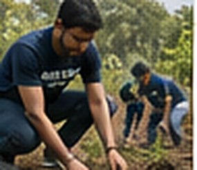 Plantation drive